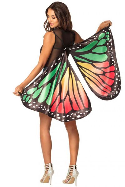 Bunte Flügel Schmetterling
